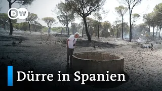 Spanien: Bauern bohren illegale Brunnen | Fokus Europa