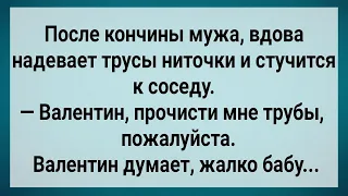 Как Сосед Одинокой Вдове Трубы Прочистил! Сборник Свежих Анекдотов! Юмор!