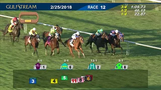 Gulfstream Park Race 12 | February 25, 2018