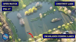 Swanlands Fishing Lakes - Chestnut - Open Match