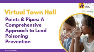 Paint & Pipes: A Comprehensive Approach to Lead Poisoning Prevention