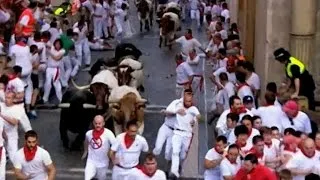 What attracts daredevils to run with the bulls?