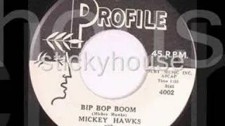 MICKEY HAWKS & THE NIGHT RAIDERS - BIP BOP BOOM