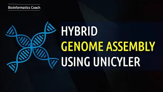 Genome assembly Tutorial  using UNICYCLER | hybrid genome assembly