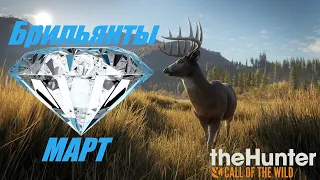 theHunter: Call of the Wild. Брильянты за март