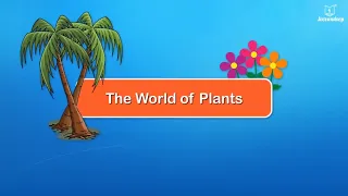 The World Of Plants | Educational Videos For Kids | Periwinkle