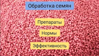 Обработка семян перед посевом. Препараты, нормы.