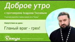 Кто наш главный враг и с чем нужно бороться? Протоиерей Андрей Ткачев.