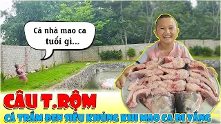 Mao Đệ Đệ Câu T.RỘM Cá Trắm Đen Siêu Khủng Khi Mao Ca Đi Vắng