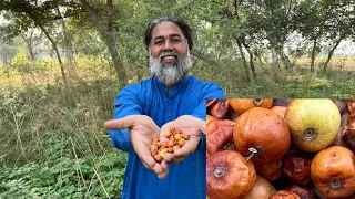 Mubarak Bhai Nay Jangli Phal Khila Diye | Special Fruit For Survival in Jungle | Azmat