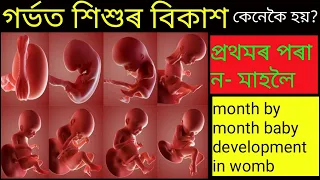 #gainknowledge  #babydevelopmentinwomb 1 to 9 month baby development in womb
