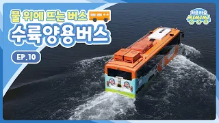 [처음 타요-씽씽씽] 물 위에 뜨는 버스, 수륙양용버스 ㅣ 물속으로 들어가는 버스?! l 버스가 물에 뜰 수 있는 이유 l 부력의 힘 l 10화 전체 보기