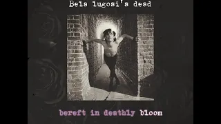 Bauhaus "Bela lugosi's dead "( lyrics)