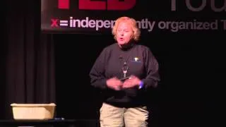 Life is Like the Scientific Method | Jan Mattingly | TEDxYouth@CBES