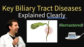 Key Biliary Tract / Cholestatic Diseases & Labs Explained