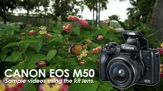 Canon EOS M50 Sample Videos