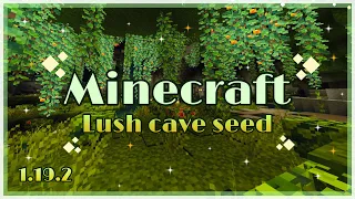 MINECRAFT LUSH CAVE SEED!! Bedrock Edition! (1.19.2) 🌿