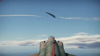 Dual F4 Phantom Aim 7 sparrow clip