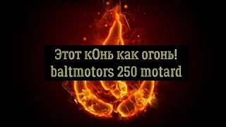 Конь-огонь!-Baltmotors 250 motard