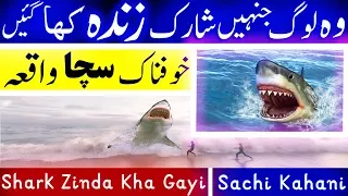 Shark Documentary Urdu Hindi Real Story Sachi Kahani