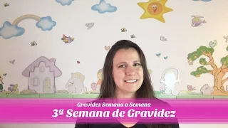 3ª SEMANA DE GRAVIDEZ
