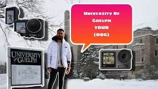 University Of Guelph Tour, Guelph,Ontario,Canada 🇨🇦