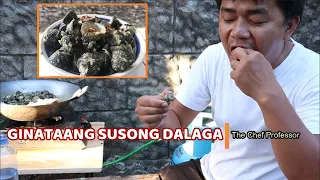 Ginataang Susong Dalaga (Long Black Sea Snail in Coconut Milk) - The Chef Professor