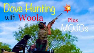 Dove Hunting with Woola! (Bird Dog Retrieval in Deep South Texas)