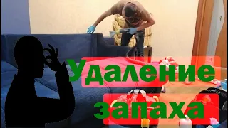 Удаление запаха | химчистка дивана из шенилла