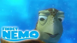 Disney/Pixar - Findet Nemo - Auf DVD und Blu-ray