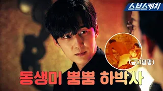 [Summary] Ha Yoon-chul, a weak sexy who stimulates protective instinct? #Penthouse3 #SBScatch