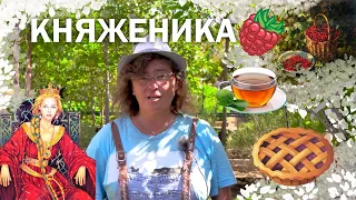 Княженика - ягода достойная княжеского двора