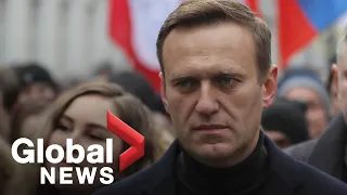 Russian opposition leader Alexei Navalny in coma under suspicious circumstances