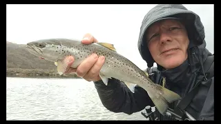 sea trout fishing in Scotland