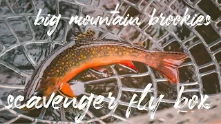 Big Mountain Brookies | Scavenger Fly Box