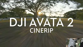 DJI Avata 2 | Dronarchy Cinerip