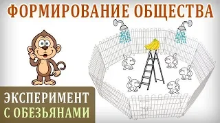 Формирование Общества. Как Формируется Общественное Мнение