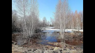 Апрельские зарисовки