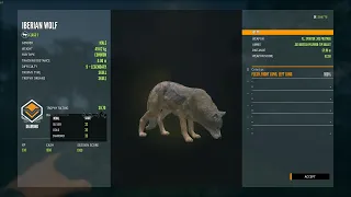 Diamond! Iberian wolf no. 3, a monster 39.7 almost max weight! COTW