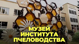 Музей института пчеловодства