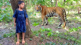 A Tiger Attacked A Girl In The Forest Fun Made Movie By 5 Minutes Film |