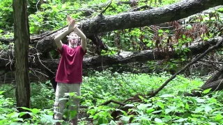 "Forest" - Twenty One Pilots (ASL Music Video)