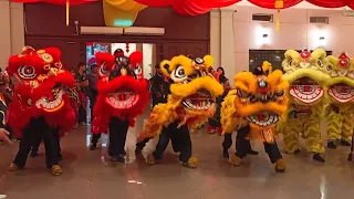 6 Lion Dance with Dragon Dance, Choy San Yeh & Wu Kong