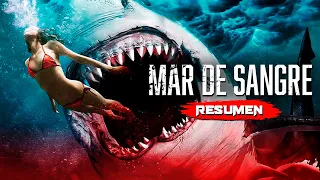 MAR DE SANGRE (Shark Bait) | Resumen en 9 Minutos - Netflix