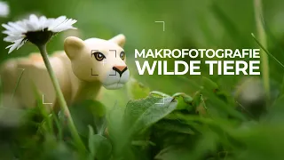 Opa Andy Livestream - Makrofotografie mit LEGO® Tieren