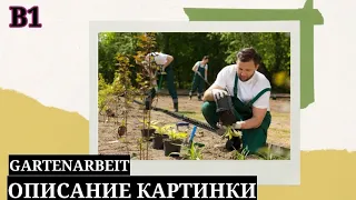 Часть 8. Auf dem Bild sehe ich. Описание картинки. Уровень В1.