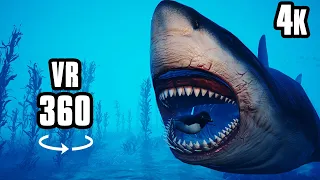 360° VR Deep Dive 4K | The Megalodon Shark