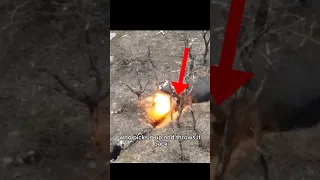 Yes, you can throw back grenades like in video games (or at least this guy did)