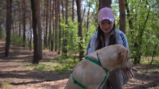 Амурчанам рассказали, как поступать при укусе клеща