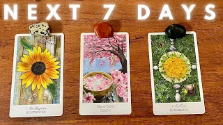 ✨ Pick A Card 《 Next 7 Days, What Will Be Revealed 》Weekly Tarot  Reading ✨